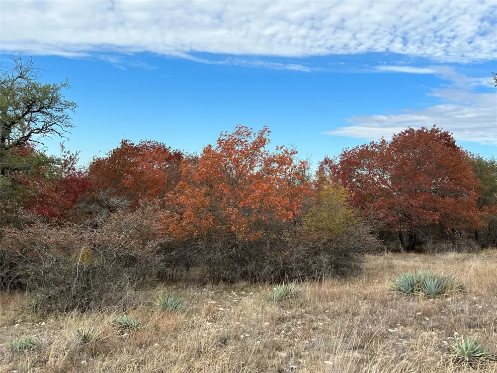 PR 6332 Hamilton, TX 76531