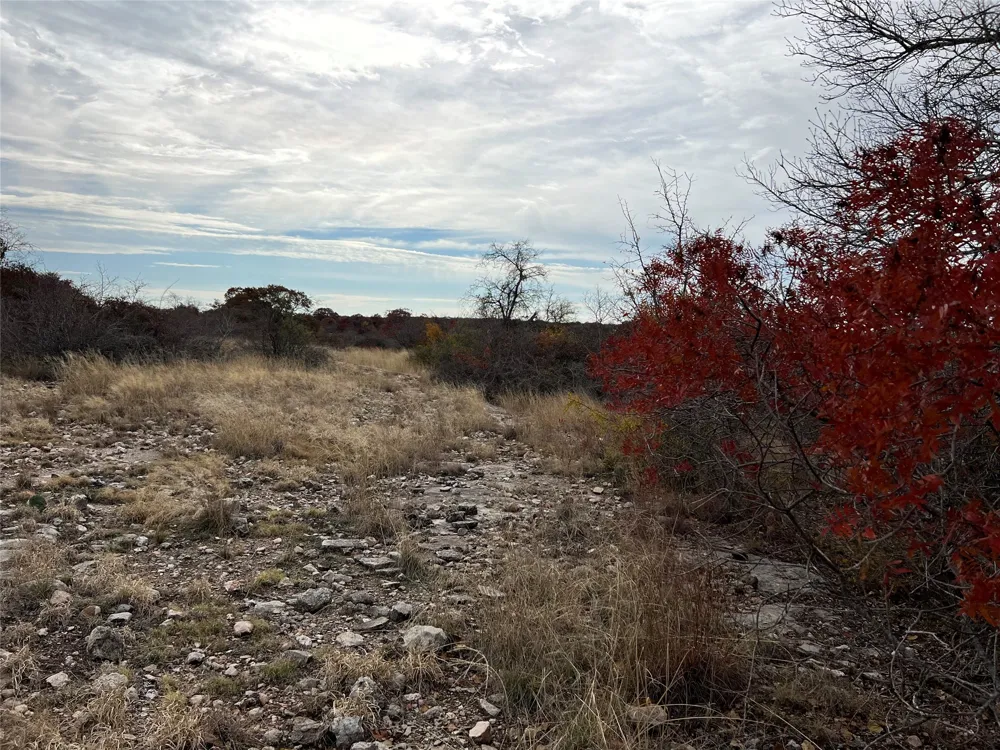PR 6332 Hamilton, TX 76531