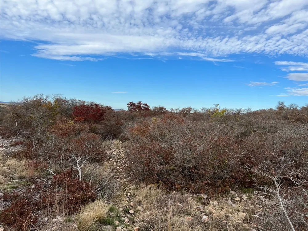 PR 6332 Hamilton, TX 76531