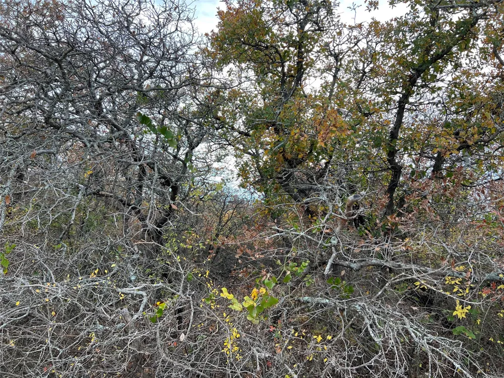 PR 6332 Hamilton, TX 76531