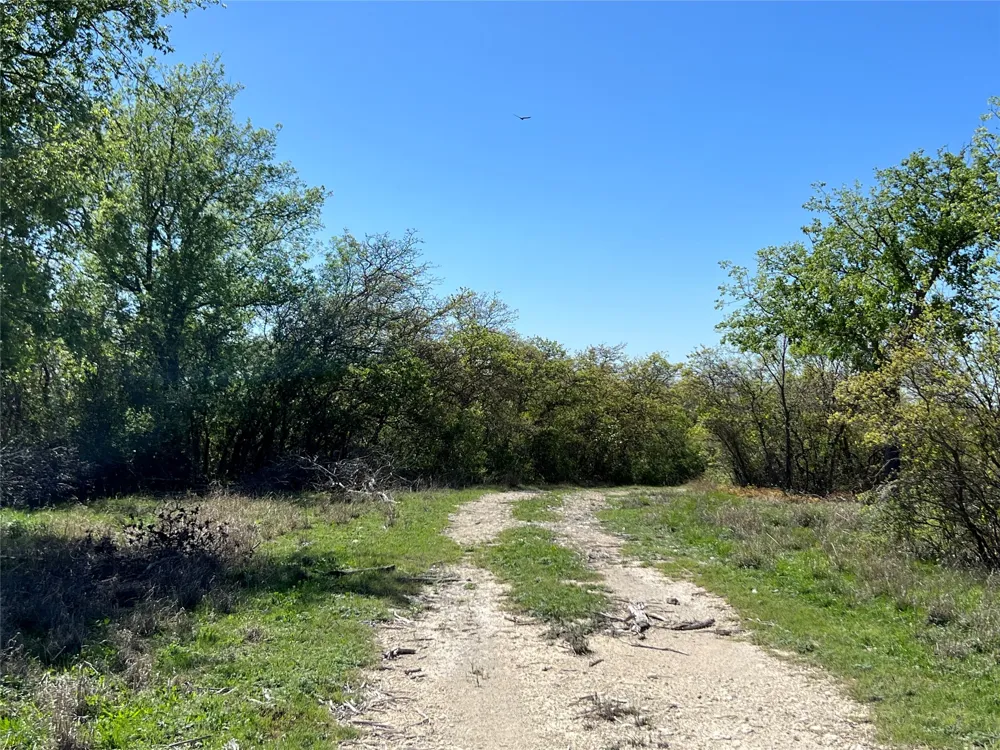 PR 6332 Hamilton, TX 76531