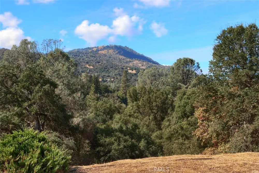 38788 Goldenrod Lane Oakhurst, CA 93644