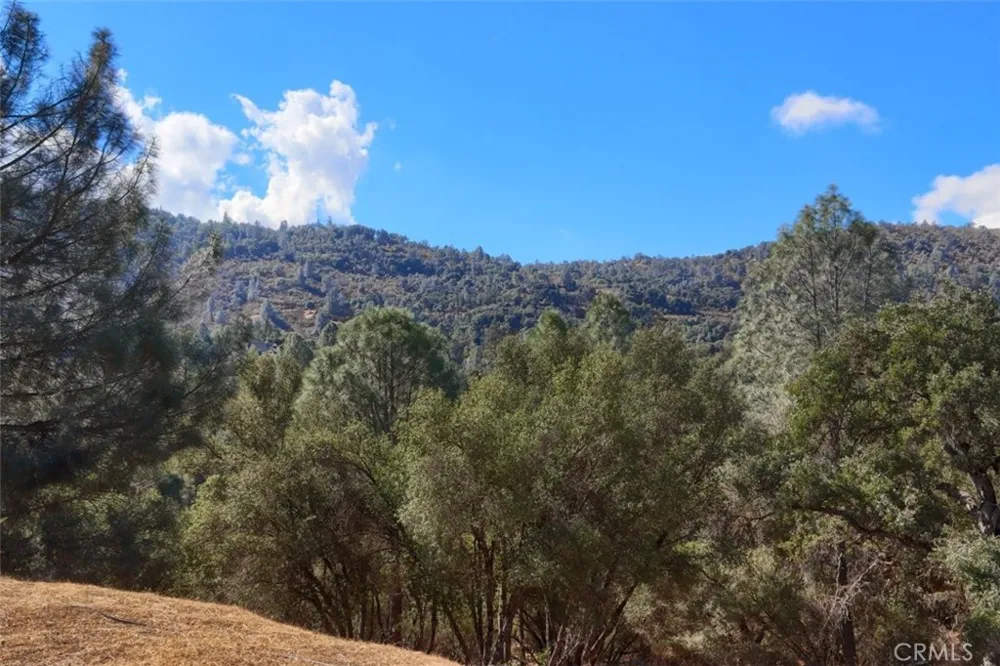 38788 Goldenrod Lane Oakhurst, CA 93644