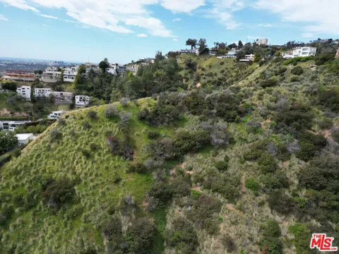 Woods Dr
