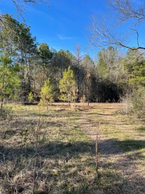 Meekins Road