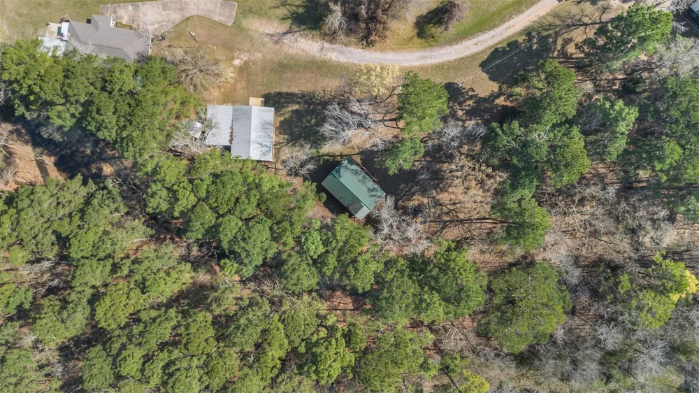 243 Silver Hickory Drive Coldspring, TX 77331