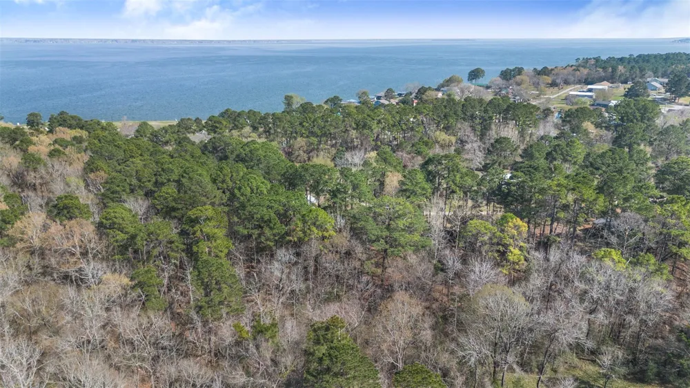 243 Silver Hickory Drive Coldspring, TX 77331