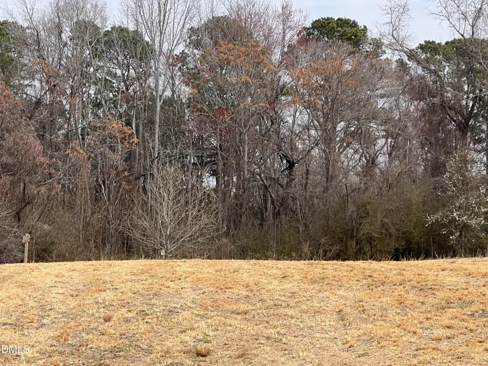 1129 Landmark Road Willow Springs, NC 27592