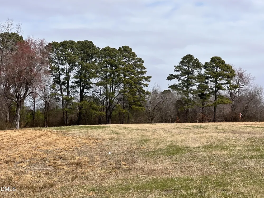 1145 Landmark Road Willow Springs, NC 27592