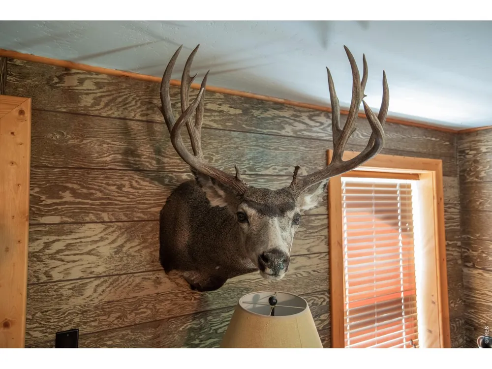 18880 County Road 500 Pagosa Springs, CO 81147
