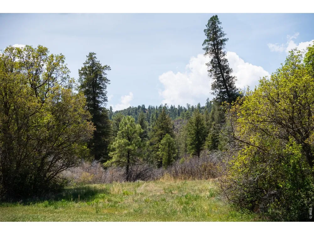 18880 County Road 500 Pagosa Springs, CO 81147