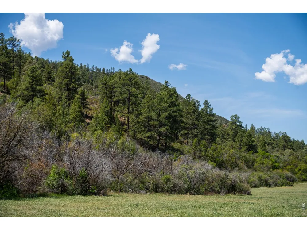18880 County Road 500 Pagosa Springs, CO 81147
