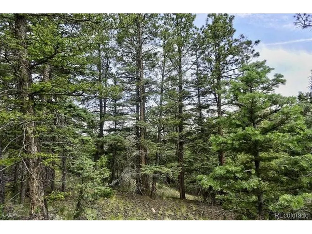 2871 Marcey Road Westcliffe, CO 81252