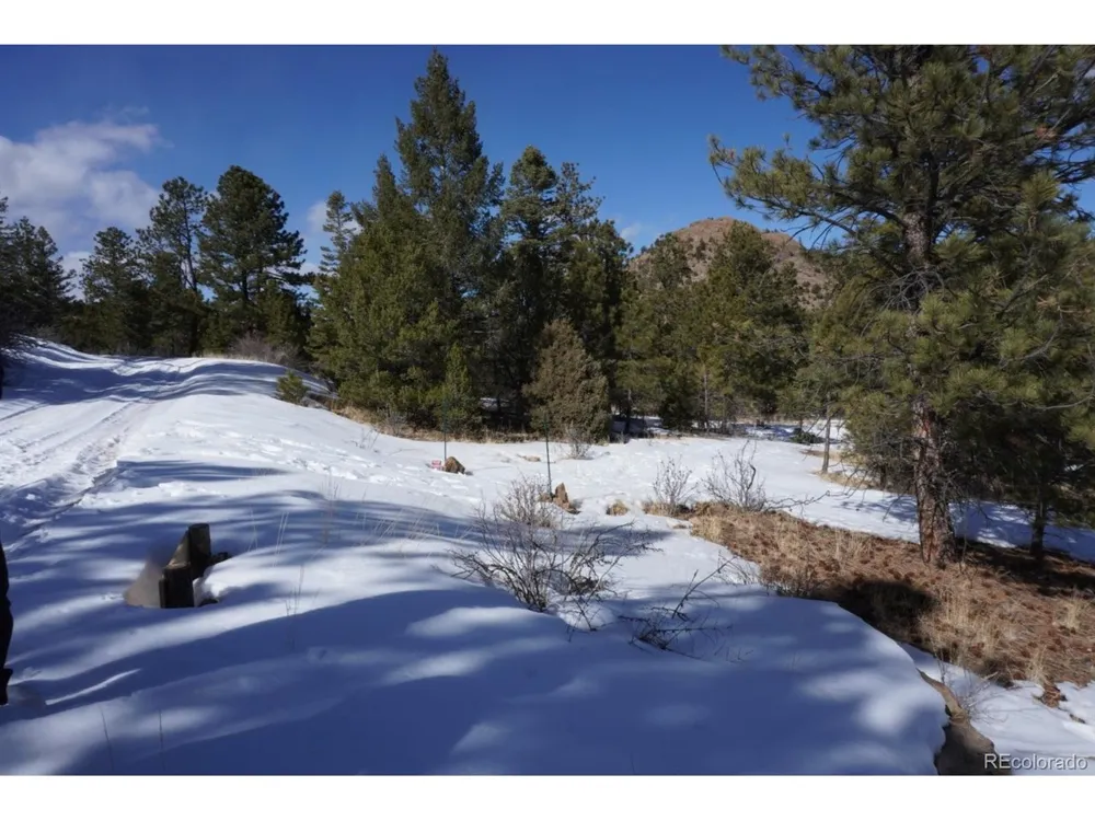 2871 Marcey Road Westcliffe, CO 81252