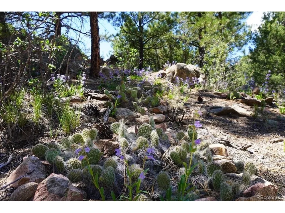 2871 Marcey Road Westcliffe, CO 81252