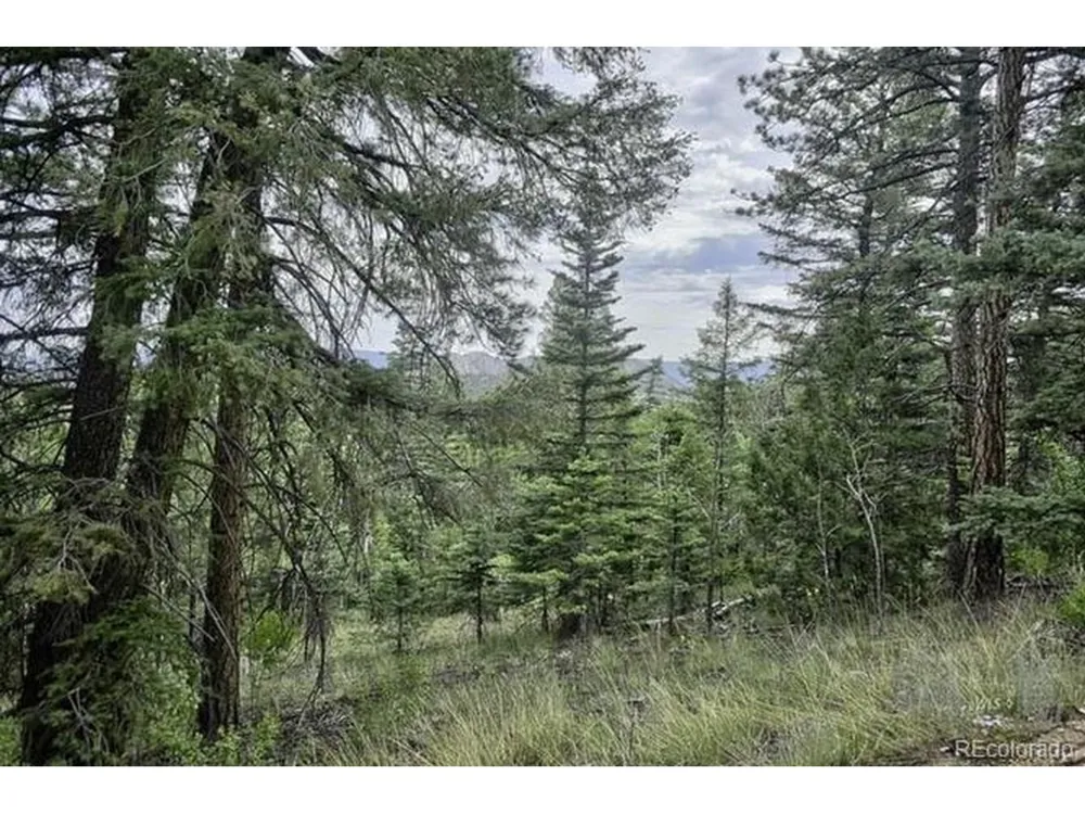 2871 Marcey Road Westcliffe, CO 81252