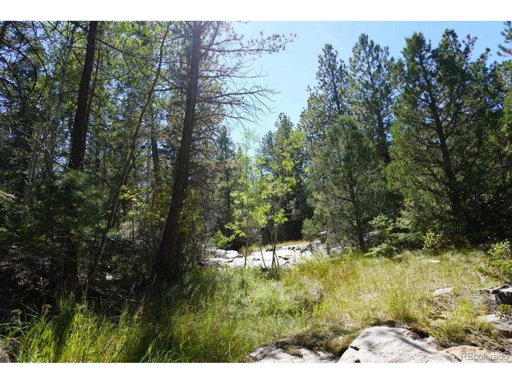 2871 Marcey Road Westcliffe, CO 81252