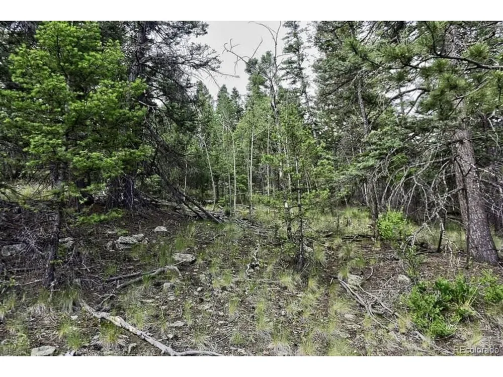 2871 Marcey Road Westcliffe, CO 81252