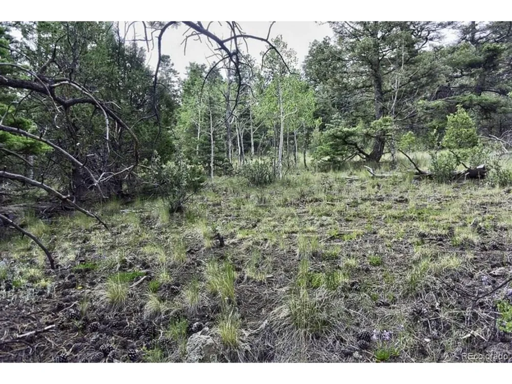2871 Marcey Road Westcliffe, CO 81252
