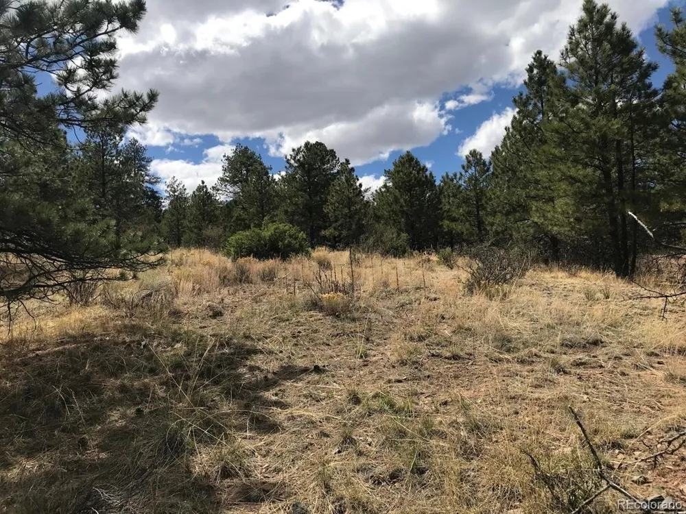 2871 Marcey Road Westcliffe, CO 81252