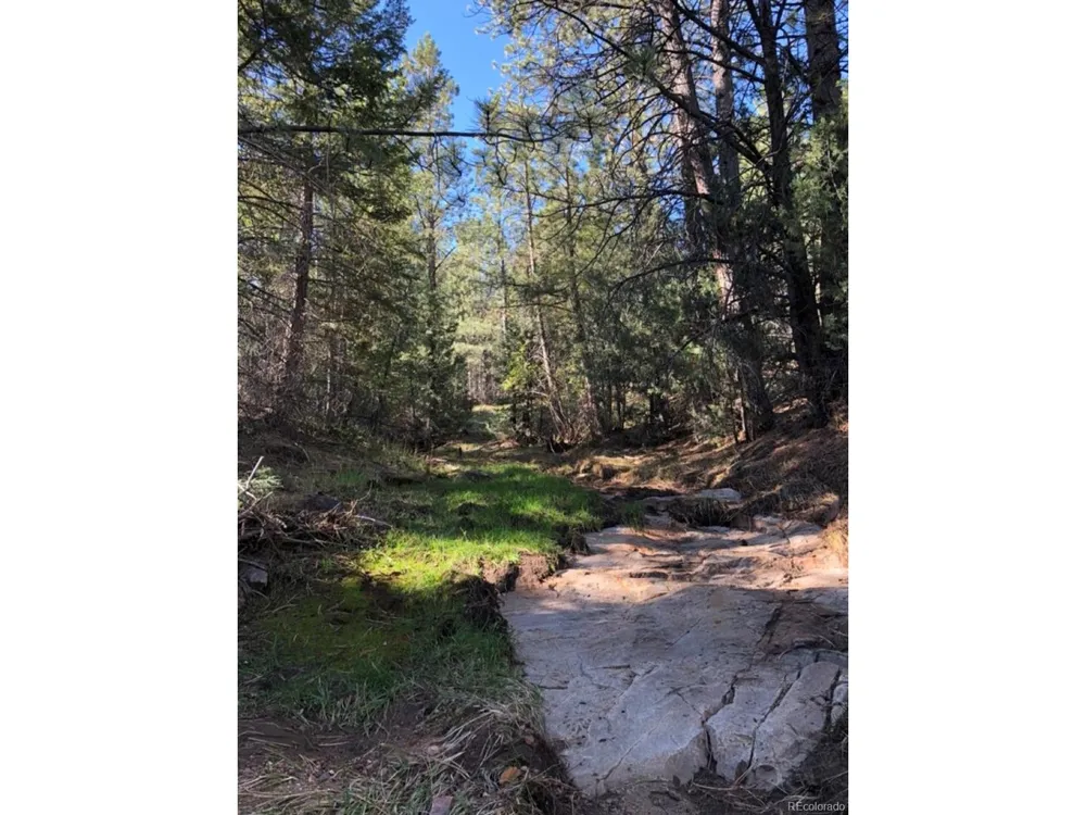 2871 Marcey Road Westcliffe, CO 81252