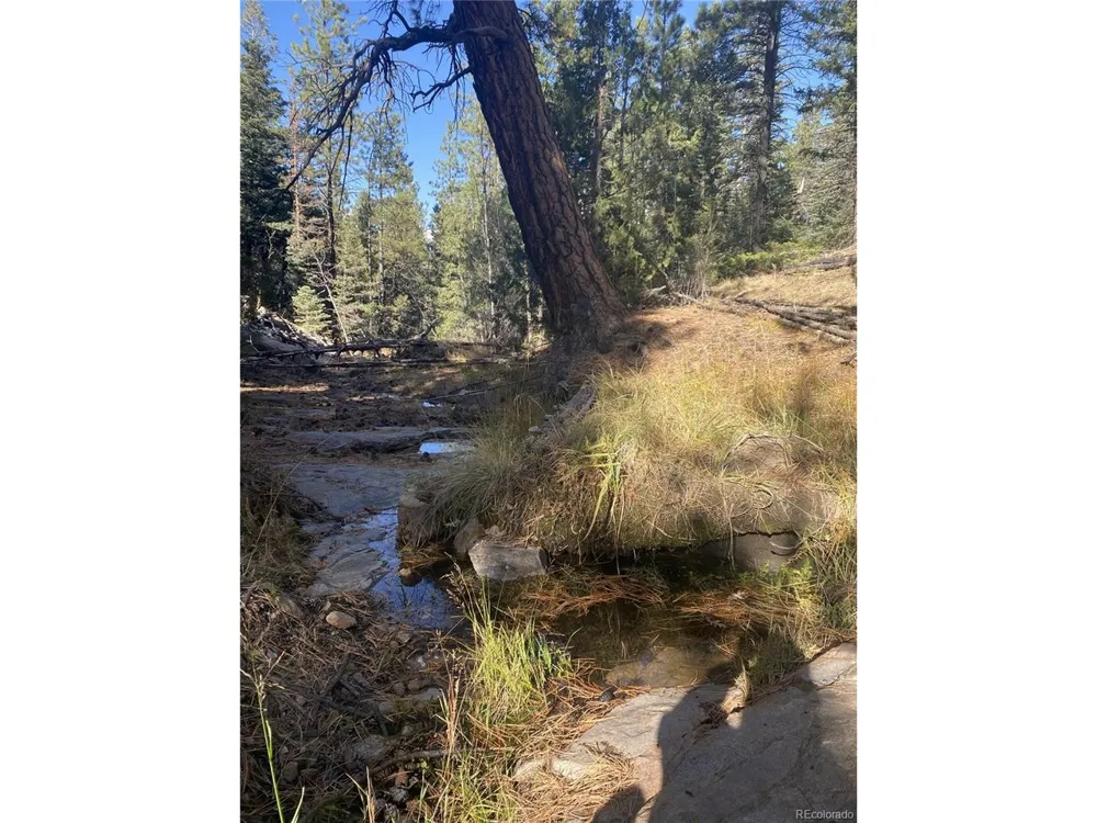 2871 Marcey Road Westcliffe, CO 81252