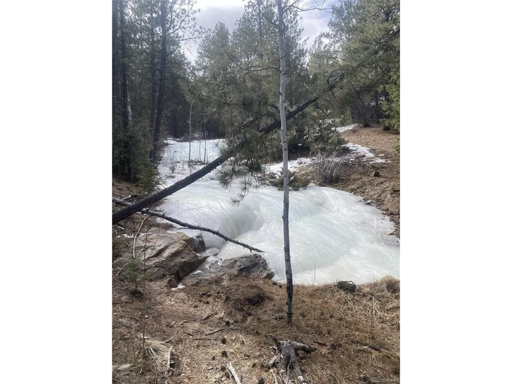 2871 Marcey Road Westcliffe, CO 81252