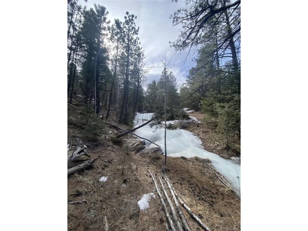 2871 Marcey Road Westcliffe, CO 81252
