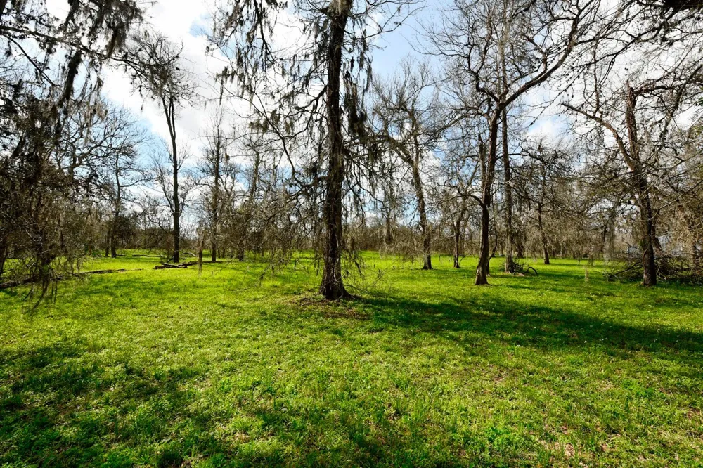 15827 Oleta Lane Sugar Land, TX 77498