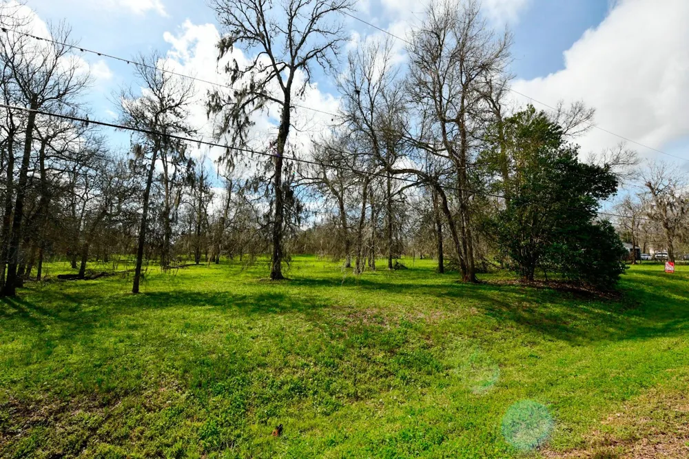 15827 Oleta Lane Sugar Land, TX 77498