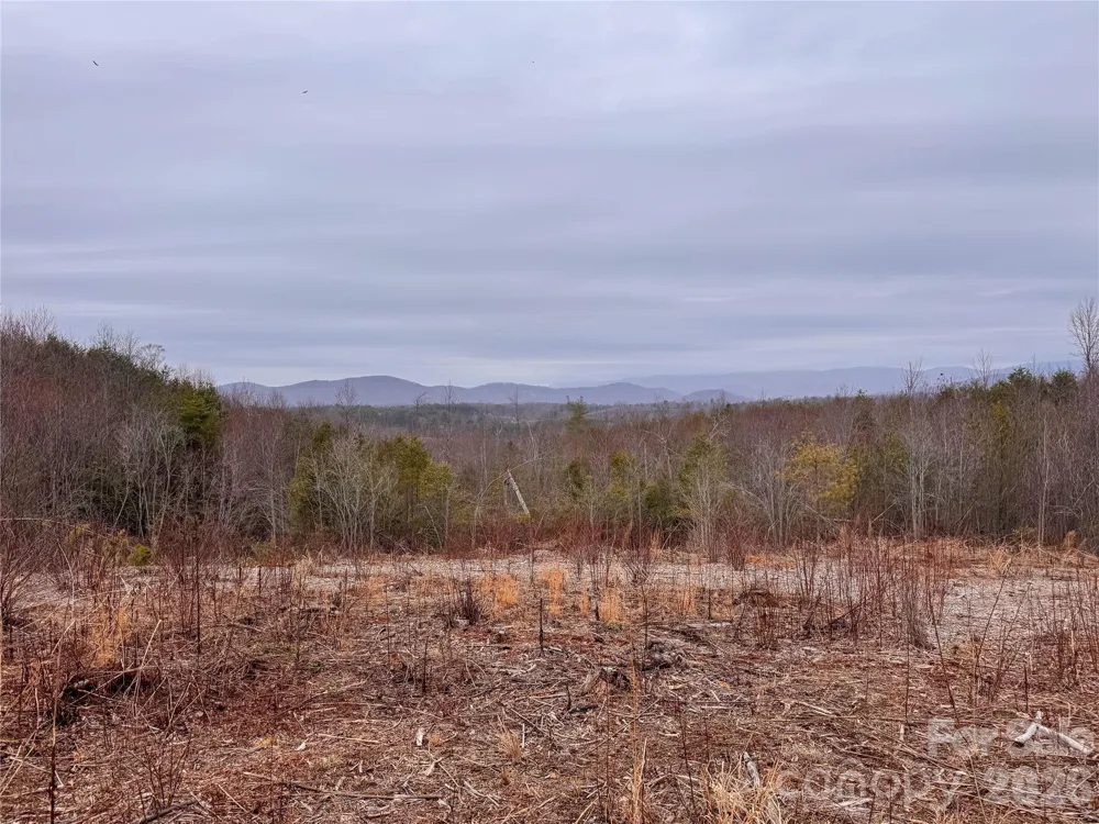 00 Baugess Mill Road Traphill, NC 28685