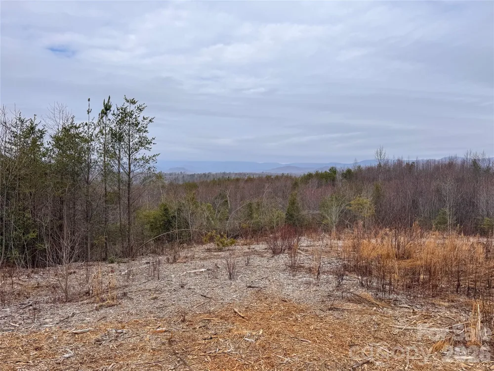 00 Baugess Mill Road Traphill, NC 28685