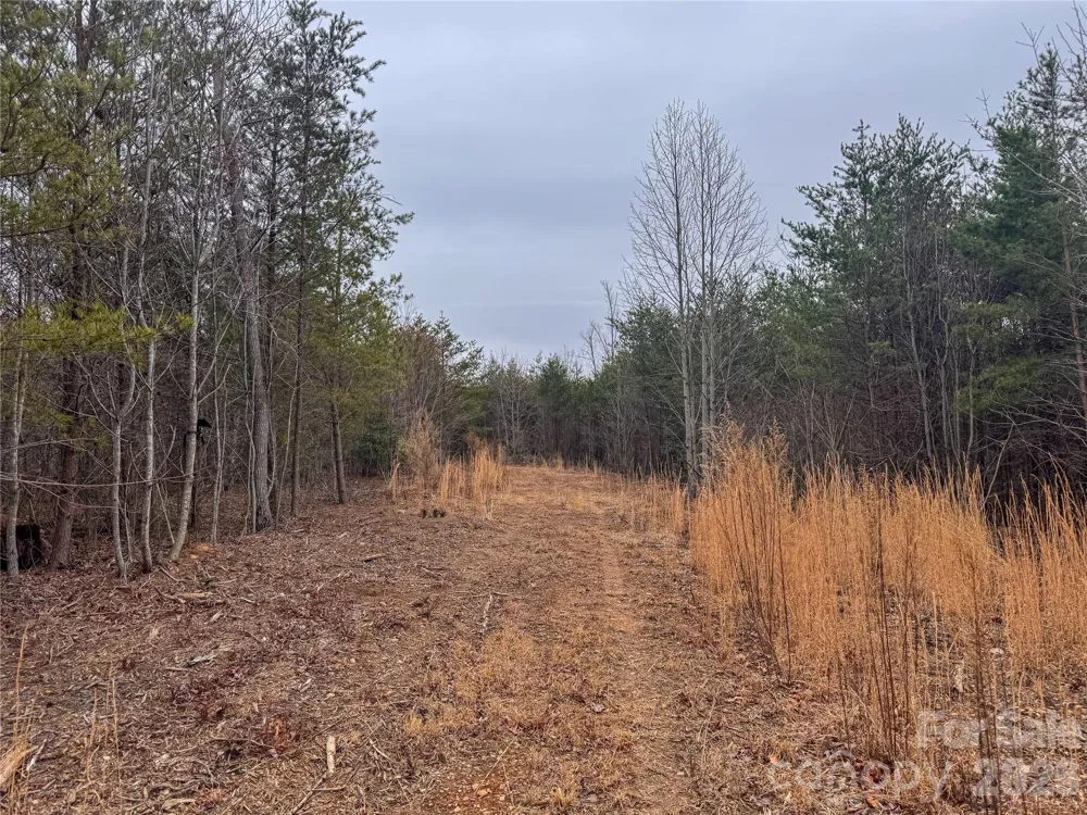 00 Baugess Mill Road Traphill, NC 28685