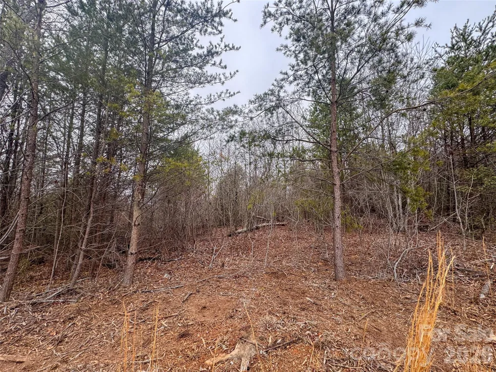 00 Baugess Mill Road Traphill, NC 28685