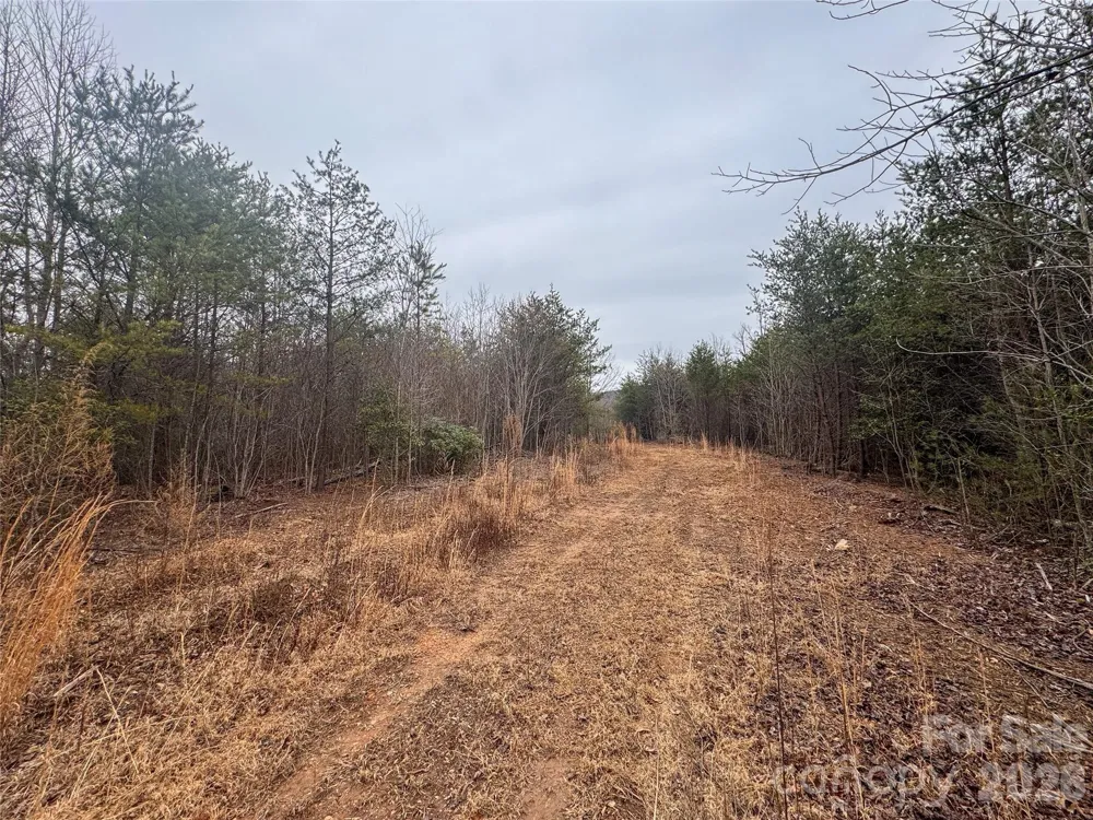00 Baugess Mill Road Traphill, NC 28685