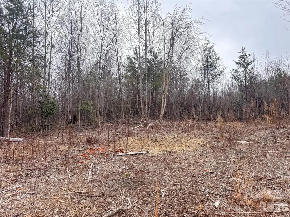 00 Baugess Mill Road Traphill, NC 28685