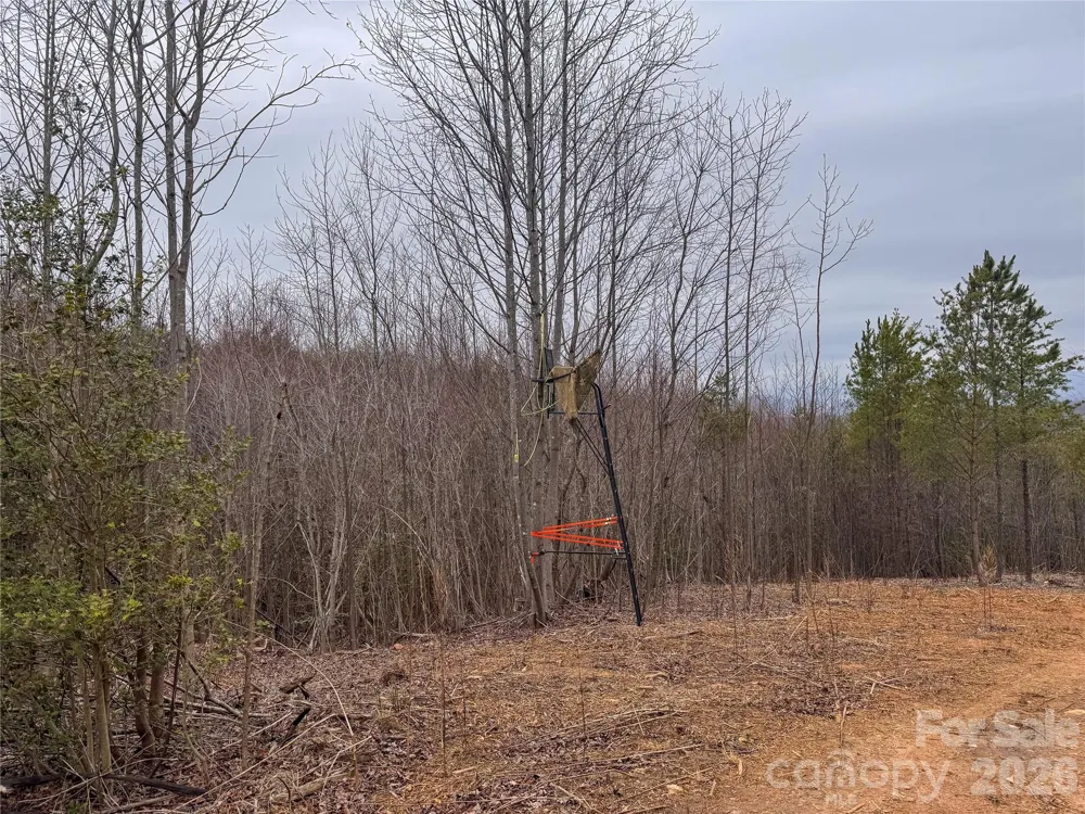 00 Baugess Mill Road Traphill, NC 28685