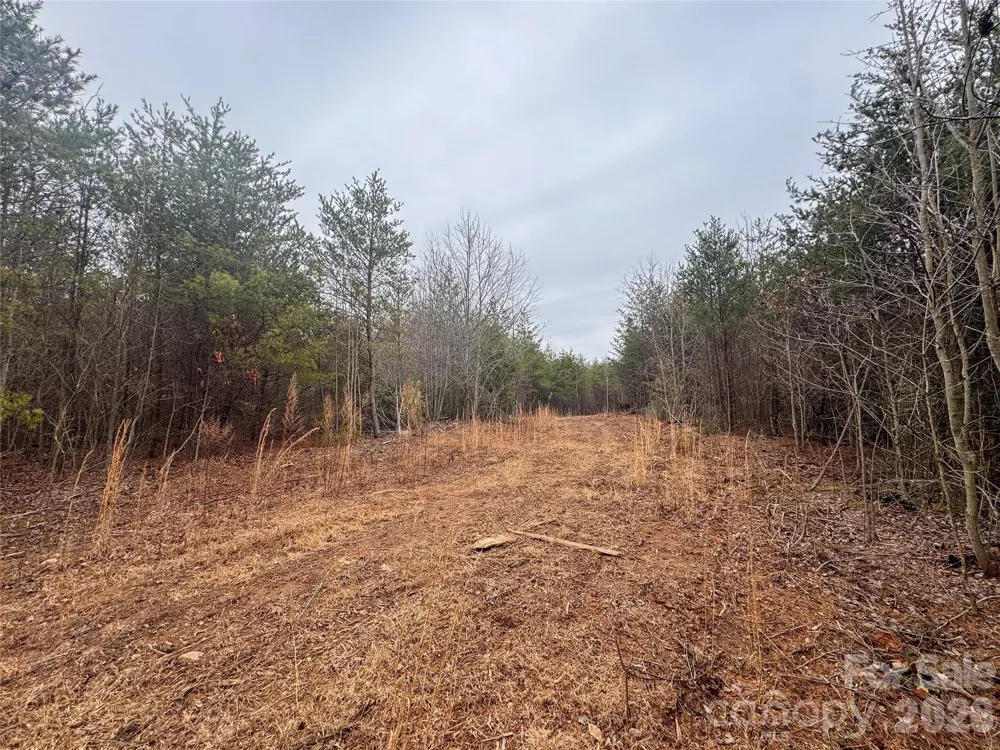 00 Baugess Mill Road Traphill, NC 28685