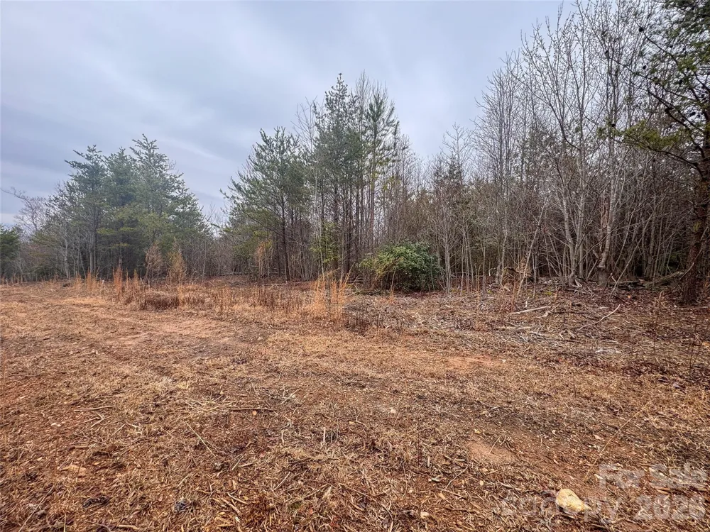 00 Baugess Mill Road Traphill, NC 28685
