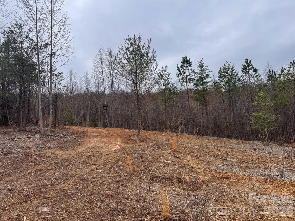 00 Baugess Mill Road Traphill, NC 28685