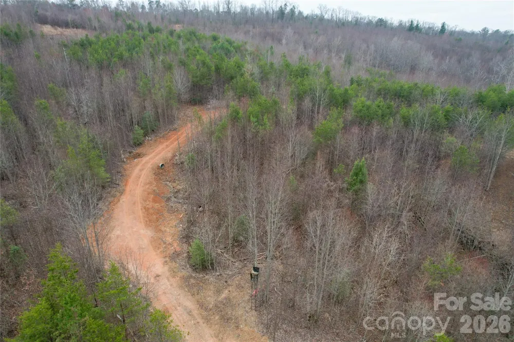 00 Baugess Mill Road Traphill, NC 28685