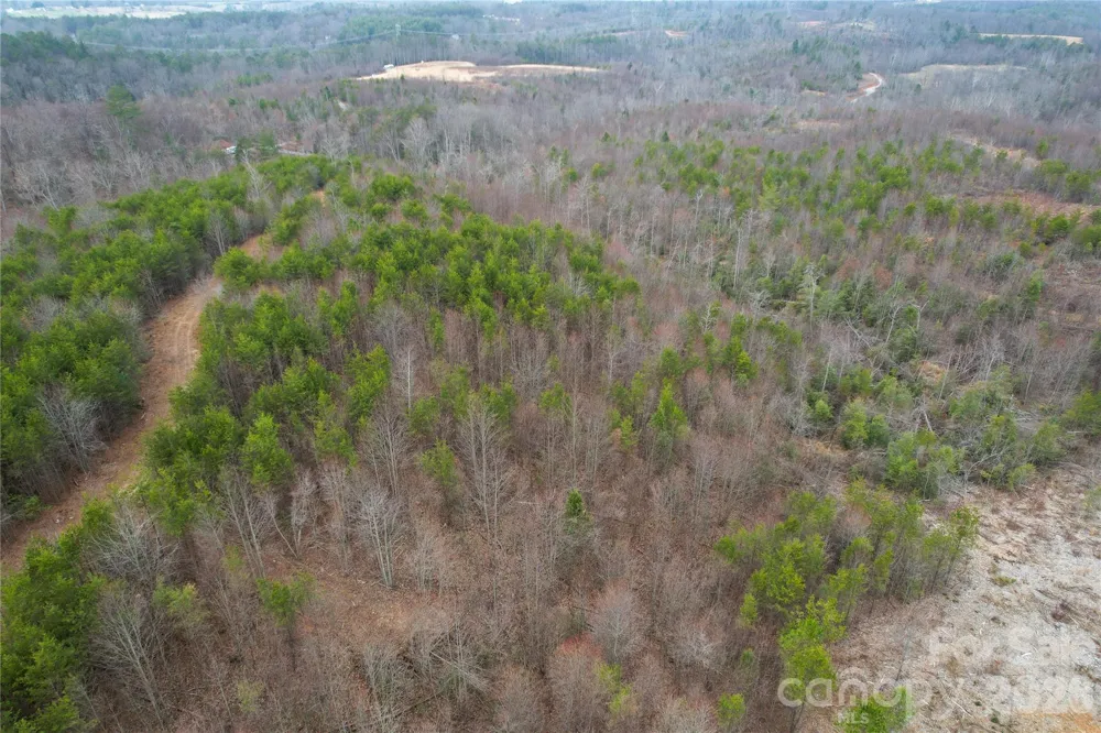 00 Baugess Mill Road Traphill, NC 28685