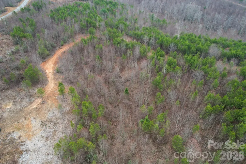 00 Baugess Mill Road Traphill, NC 28685