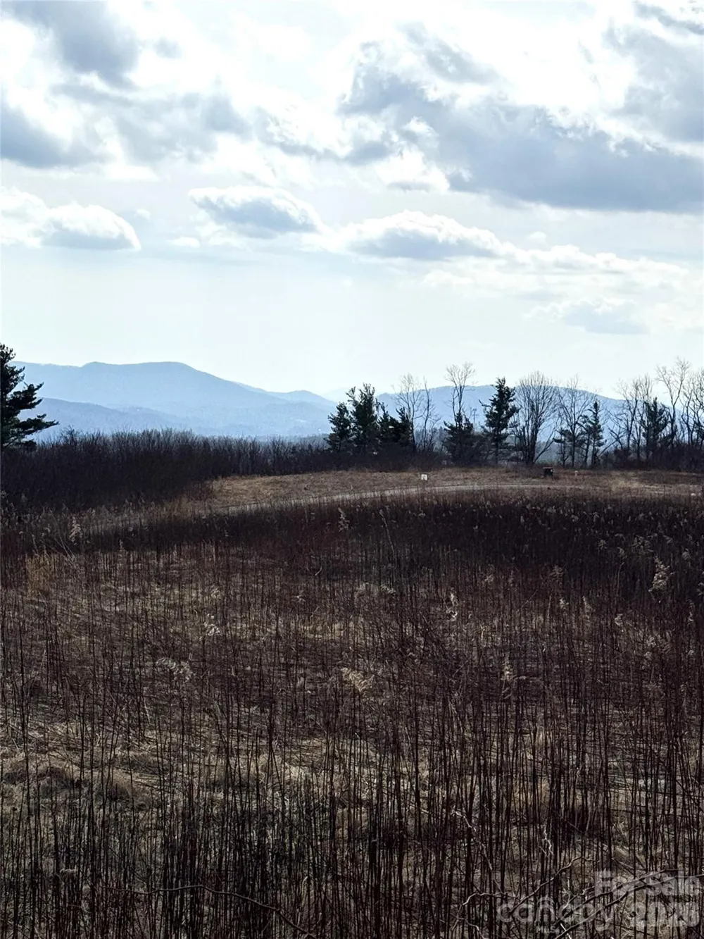 TBD Lot 52 Crestwood Circle Linville, NC 28646