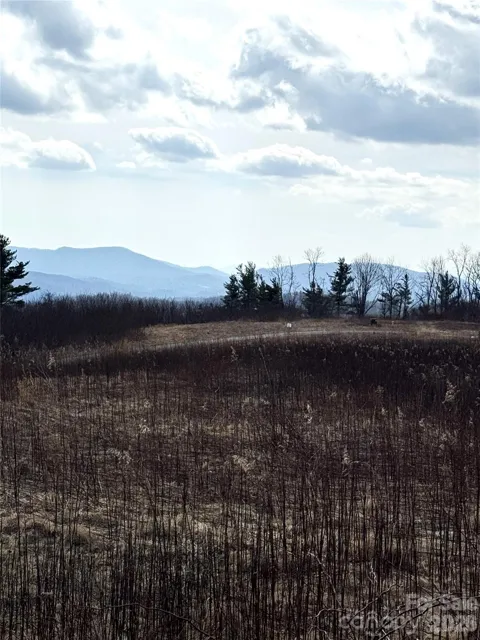 TBD Lot 52 Crestwood Circle
