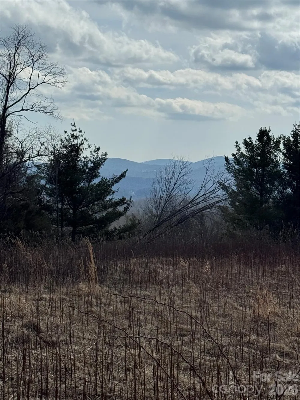 TBD Lot 52 Crestwood Circle Linville, NC 28646