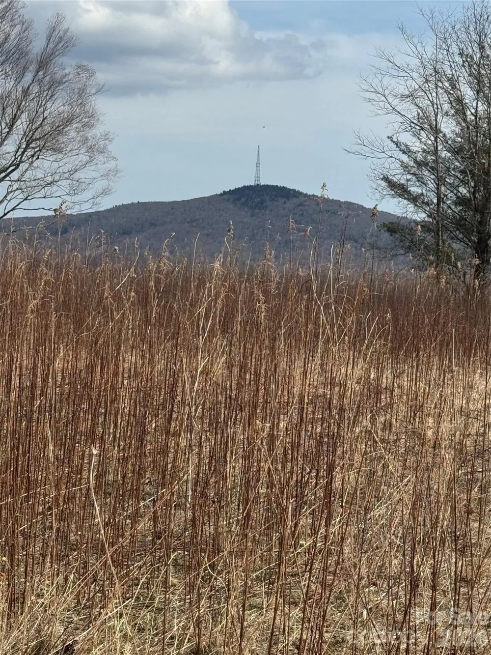 TBD Lot 52 Crestwood Circle Linville, NC 28646