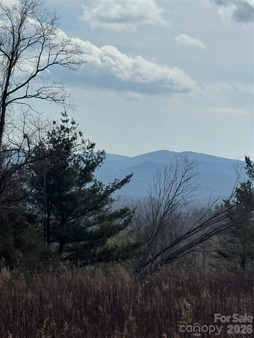TBD Lot 52 Crestwood Circle Linville, NC 28646