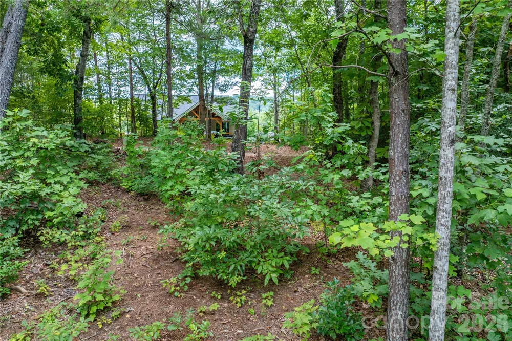 5.5 Acres Dogwood Way #840a Lenoir, NC 28645