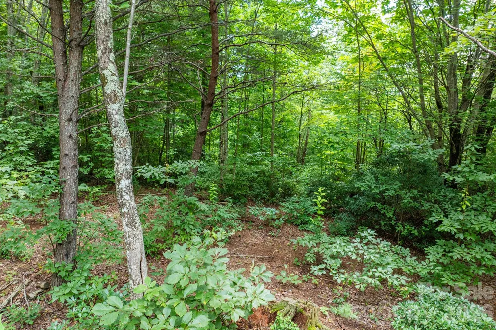 5.5 Acres Dogwood Way #840a Lenoir, NC 28645